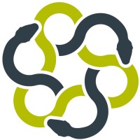 Hydra Digital Logo