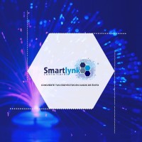 Smartlynk Consultores S.A de C.V Logo