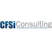 CFSI Consulting Logo