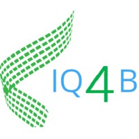 IQ4Business Logo