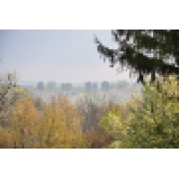 Diana H. Shutt Consulting, LLC. Logo