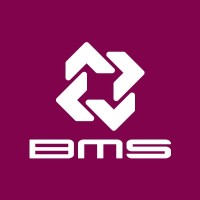 Blow Molding System, SL Logo