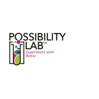 Possibility Lab LLC Logo