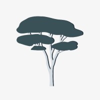 Acacia Collaborative Logo