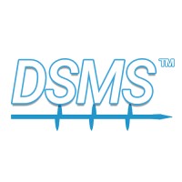 Dynamic Seawall Maintenance System, Inc Logo