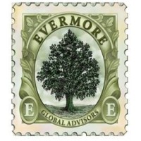 Evermore Global Advisors Logo
