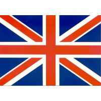 Tarek Amer School Logo