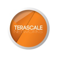 Terascale Networks Logo