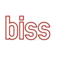 BISS - Belarusian Institute for Strategic Studies Logo