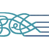 Concise Consulting Services, LLC Logo