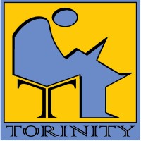 Torinity Consulting Company Logo