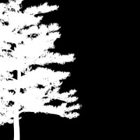 Aspen VG Logo