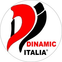 DINAMIC ITALIA Logo