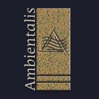 Ambientalis Análises de Ambientes Ltda Logo