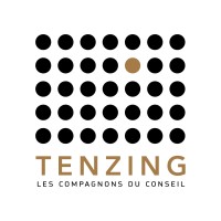Tenzing Conseil Logo