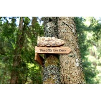 Pine Hills Eco Camp Logo