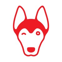 Red Dog WiFi Solutions Logo