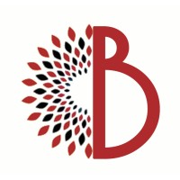 Ballistic Media Group Logo