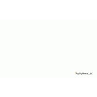 Fly My Photo, LLC Logo