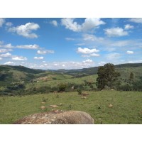 Alcântara Cardoso Assessoria Imobiliária Logo