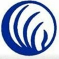 NAMI SWMO (The National Alliance on Mental Illness) Logo