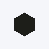 Полоцкий государственный университет Logo