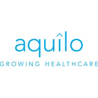 Aquilo Consulting Logo