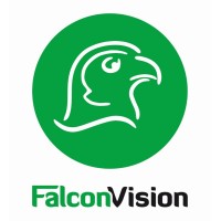 Falcon-Vision Hungary Logo