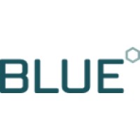 Blue Equity Logo