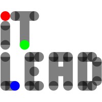 IT Lead Logo