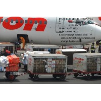 pt.betari sejati indonesia Logo