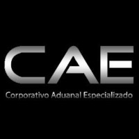 CAE Corporativo Aduanal Especializado Logo