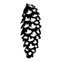 NW Documentary Logo