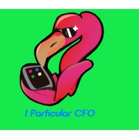 1 Particular CFO, LLC Logo