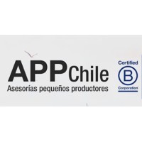 APP Chile Logo