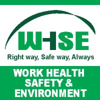 WHSE (Nigeria) Logo