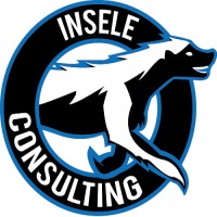 Insele Consulting Logo