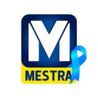 Mestra Vedações Logo
