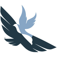 Paladin Advisors Logo