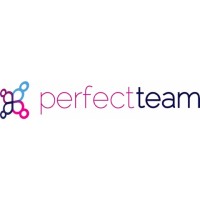 The Perfect Team Logo