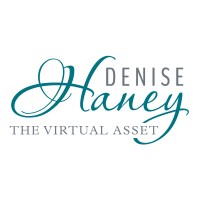 The Virtual Asset, LLC Logo