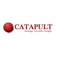 Catapult Solutions Group Inc Logo