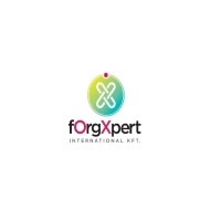 fOrgXpert International Logo
