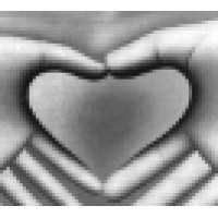 The Healing Place Logo