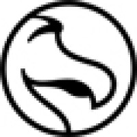 DODOcase Logo