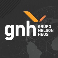 Grupo Nelson Heusi Logo
