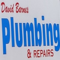 David Barnes Plumbing & Repairs, LLC Logo