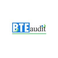 BTE audit Logo