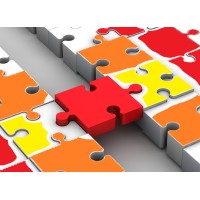 Em Transição de Carreira - In Career Transition Logo