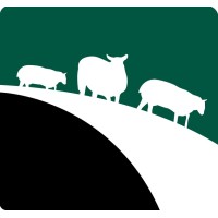 3 Sheep Analytics Logo